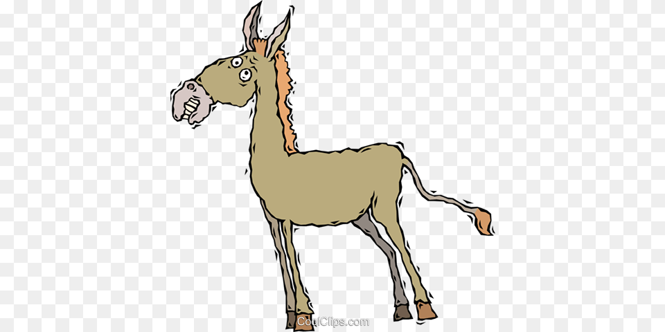 Donkey Royalty Vector Clip Art Illustration, Animal, Mammal, Face, Head Free Png