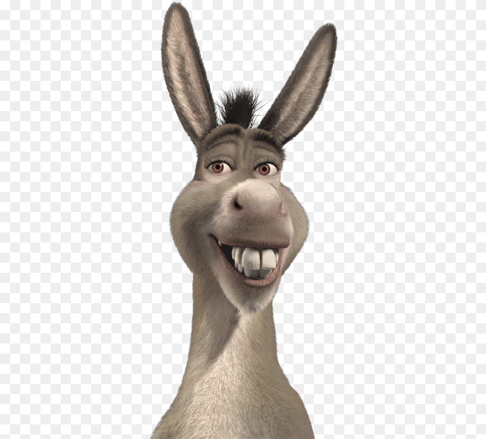 Donkey Shrek Clip Art, Animal, Mammal, Kangaroo Free Png Download