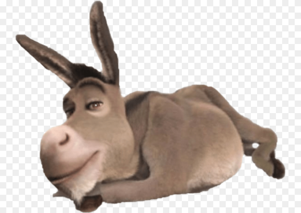 Donkey Shrek Donkey From Shrek Animal, Mammal, Adult, Male Free Transparent Png