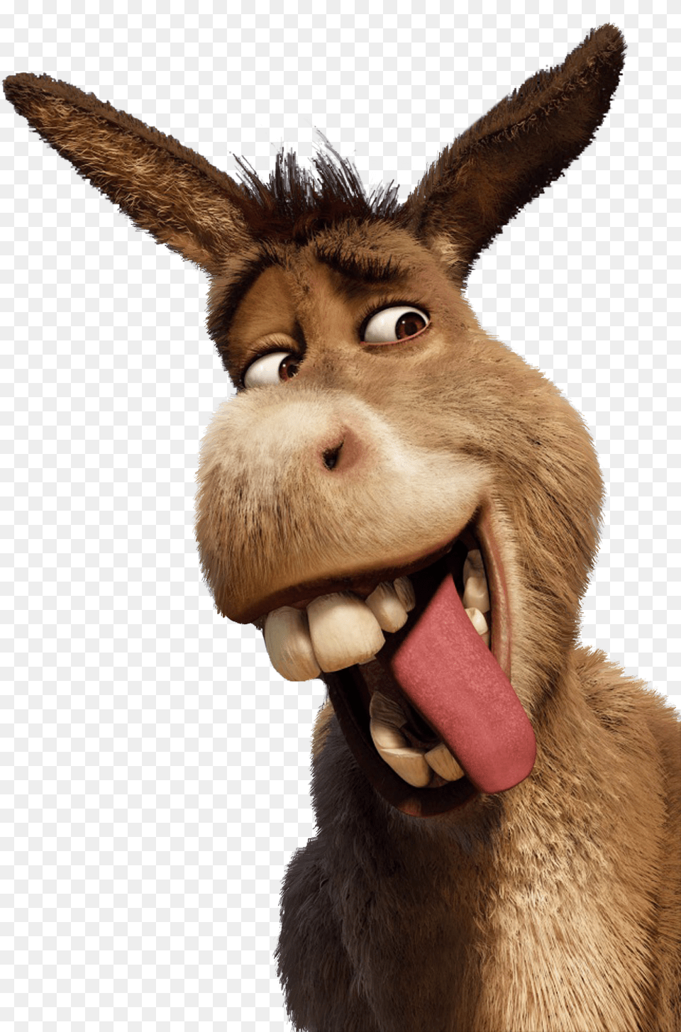 Donkey Shrek Smile Shrek Forever After Poster, Animal, Mammal, Kangaroo Free Png Download