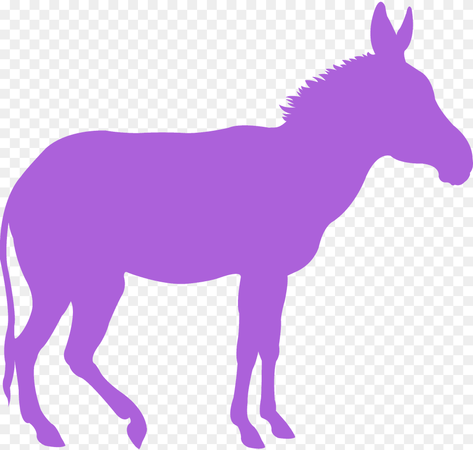 Donkey Silhouette, Animal, Mammal, Horse Png Image