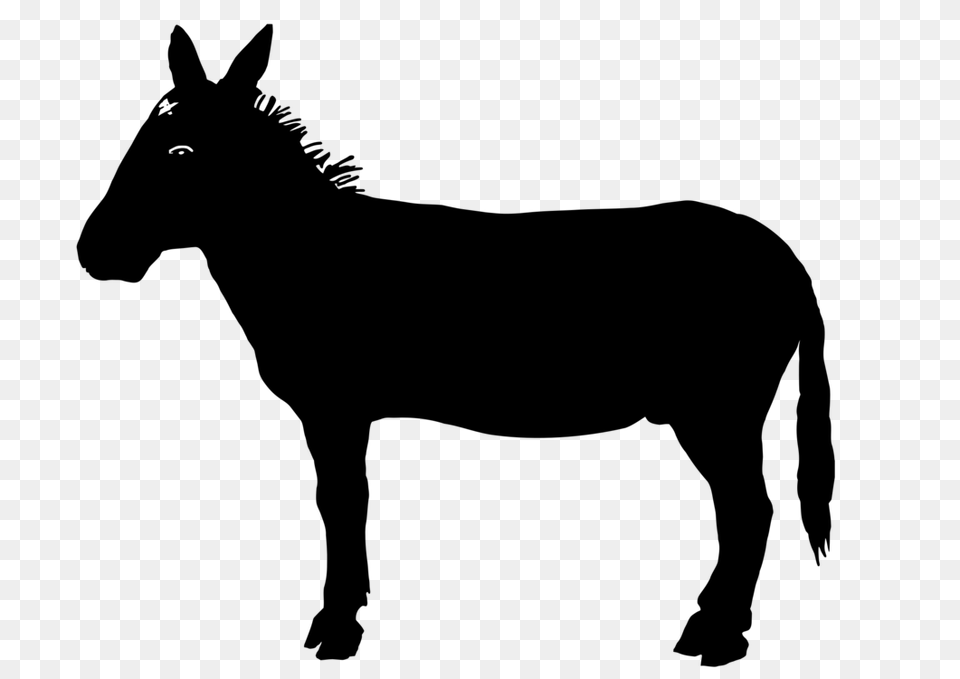 Donkey Silhouette Download Computer Icons Mule, Gray, Outdoors Free Png