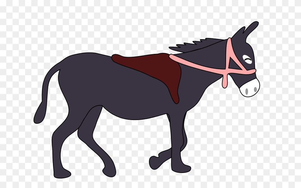 Donkey Smile, Animal, Mammal Free Transparent Png