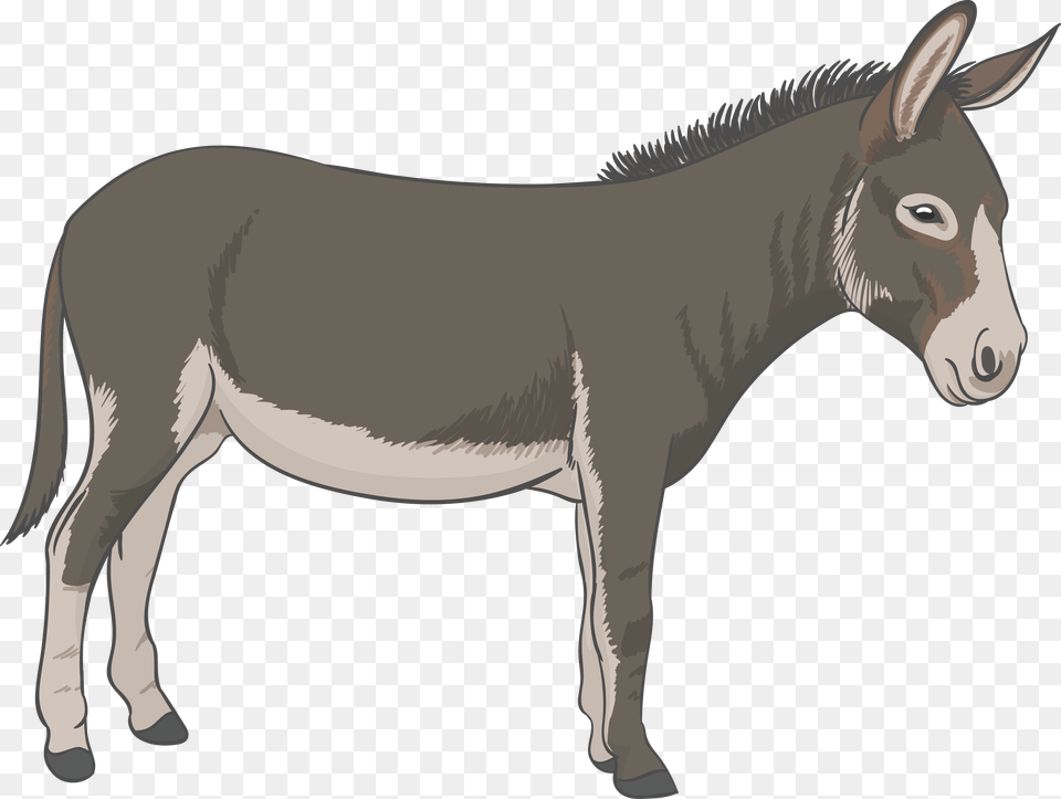 Donkey Vector Donkey, Animal, Mammal, Antelope, Wildlife Free Png