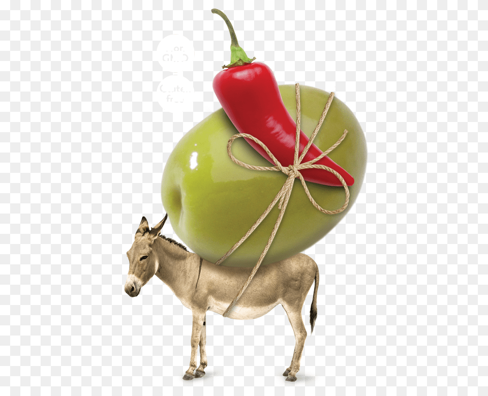 Donkey With White Background, Animal, Horse, Mammal, Food Png