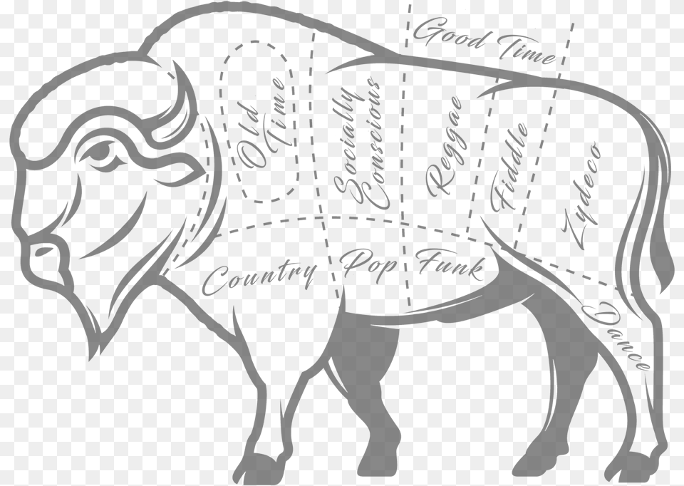 Donna The Buffalo Buffalo Diagram, Person Free Transparent Png