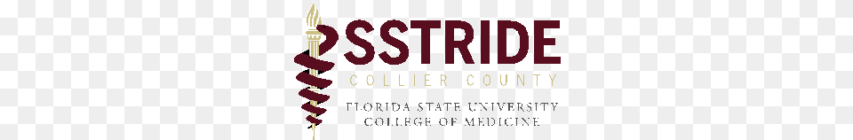 Donors Sstride Fsu Logo, Light, Dynamite, Weapon, Text Png