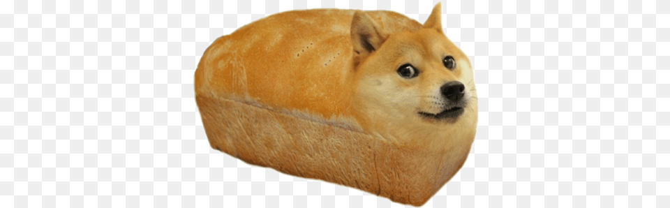 Dont Care Didnt Ask, Bread, Bread Loaf, Food, Animal Png Image