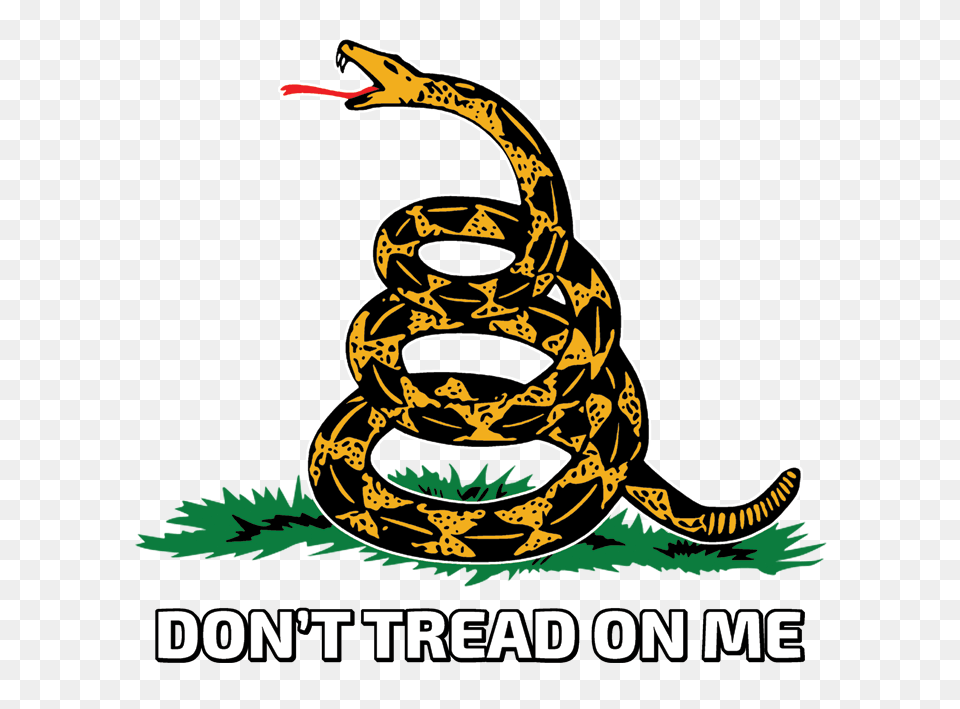 Dont Tread On Me With Snake The Wild Side, Animal, Reptile, Rock Python Png