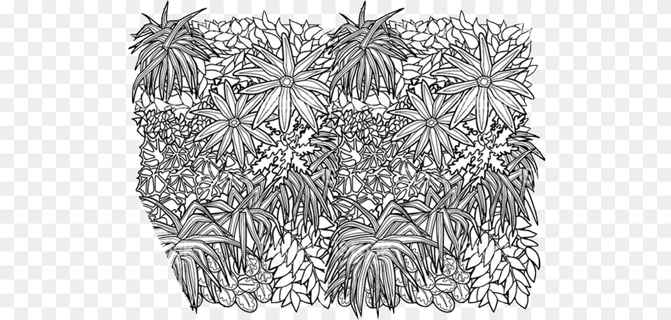 Doodle, Art, Drawing, Plant, Lace Free Png