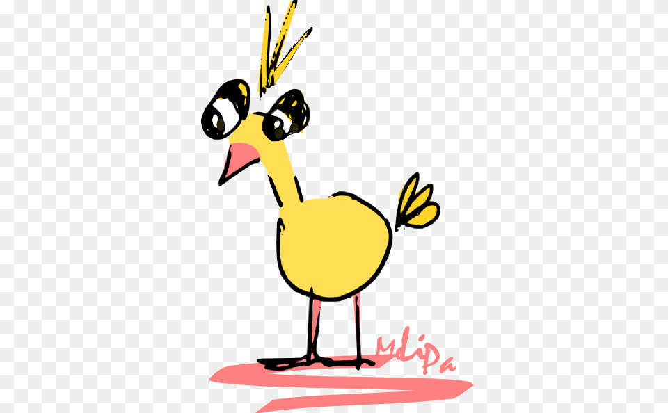 Doodle Art Doodles Bird, Animal, Beak, Waterfowl, Person Png Image