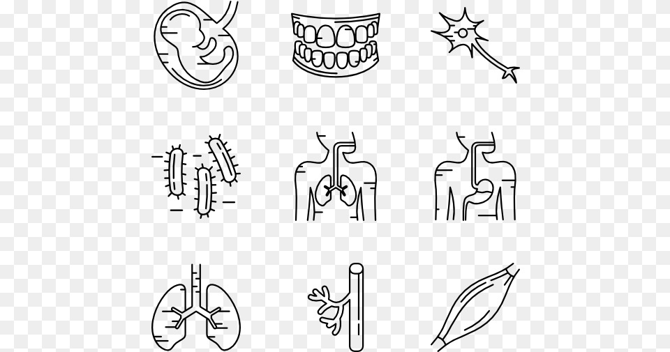 Doodle Body Parts, Gray Free Png Download