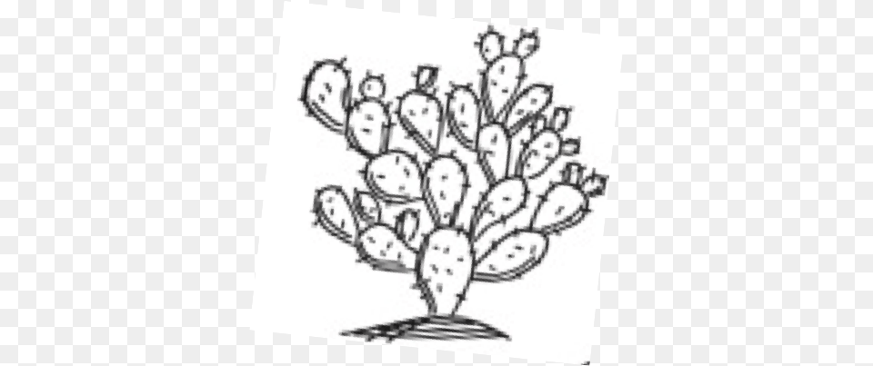 Doodle Cactus Cactus, Chandelier, Lamp, Art Png Image