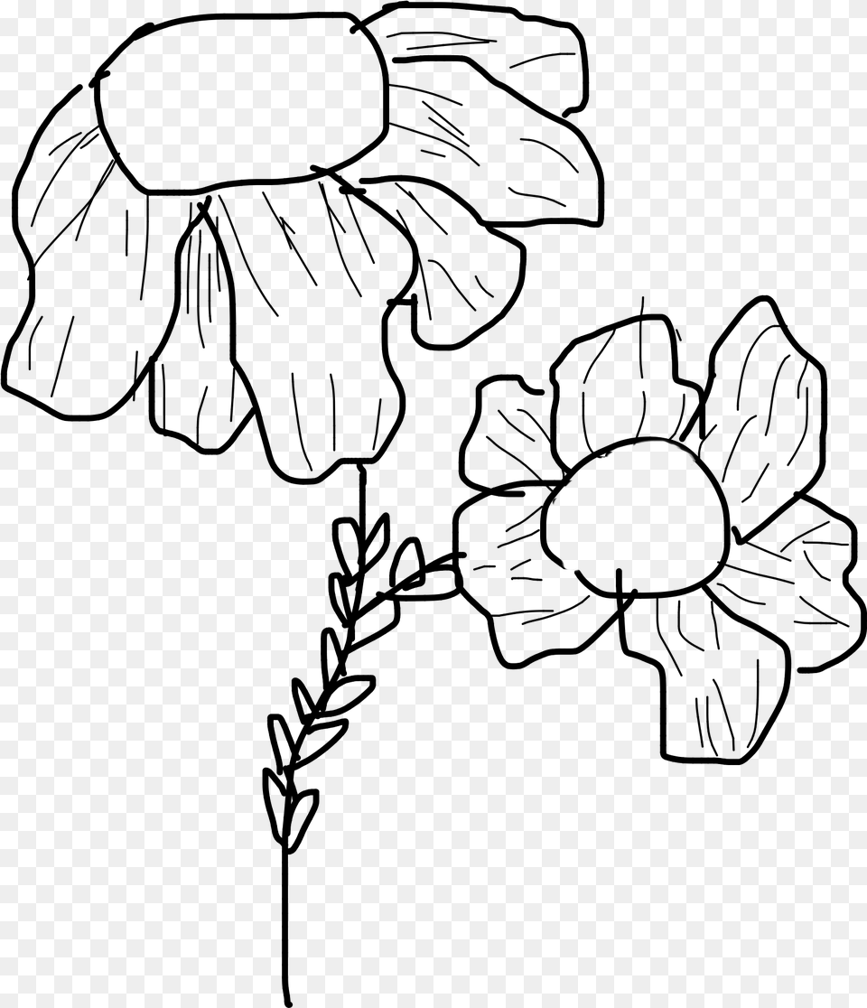 Doodle Flower Flowerdoodle Daisy Daisydrawing, Gray Free Png