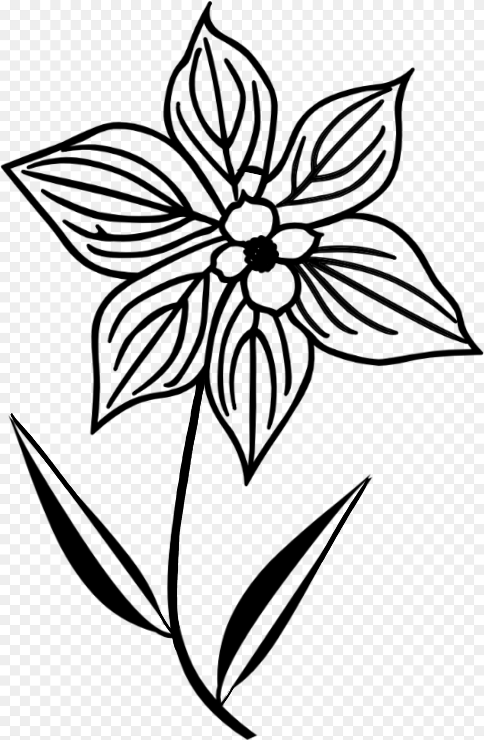 Doodle Flower Silhouettesome Outline Of A Flower, Gray Free Png