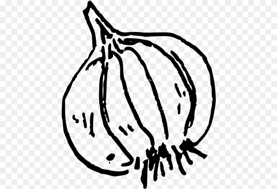 Doodle Garlic Garlic, Gray Free Png Download