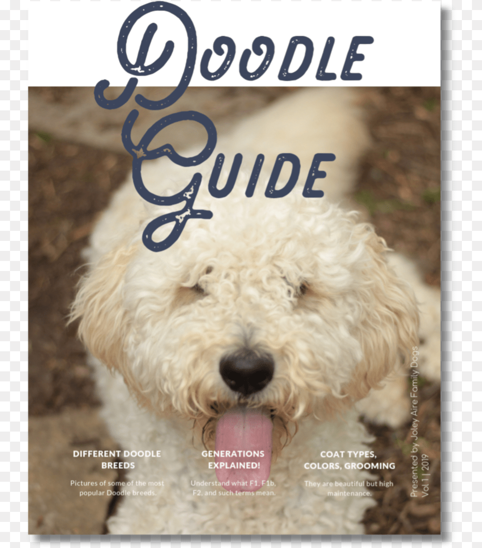 Doodle Guide Cover Labradoodle, Animal, Canine, Dog, Mammal Png Image