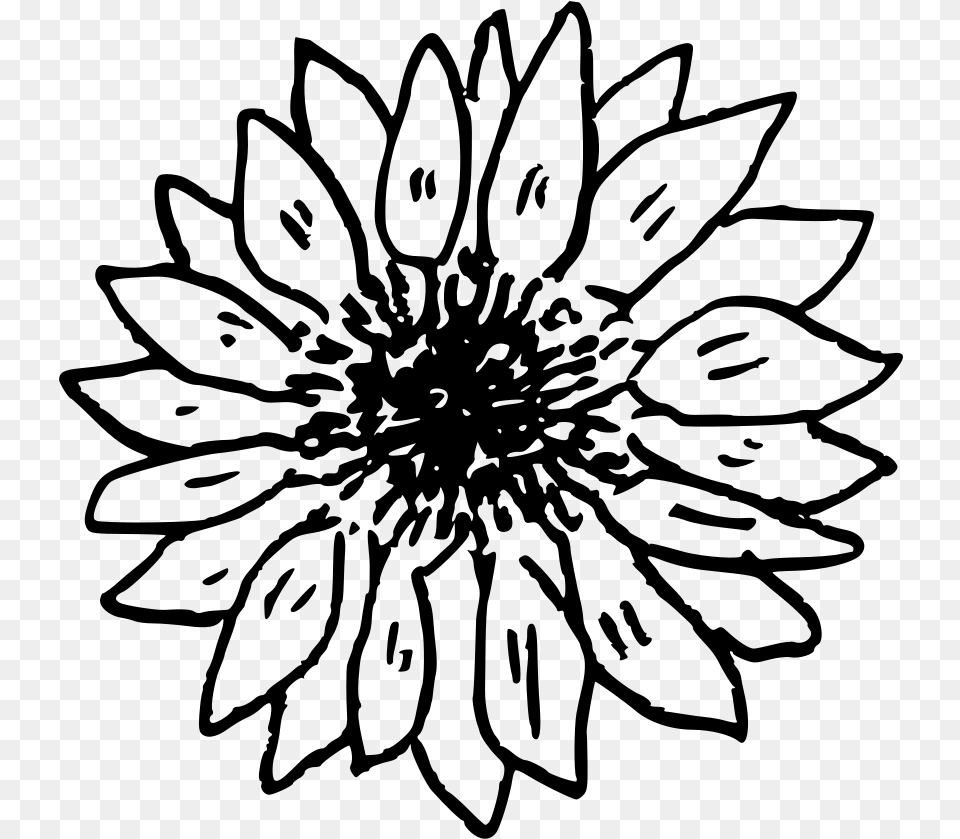 Doodle Sunflower, Gray Png Image