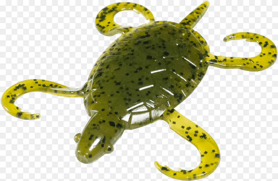 Doomsday Turtle Turtle Bait, Animal, Sea Life, Electronics, Hardware Png Image