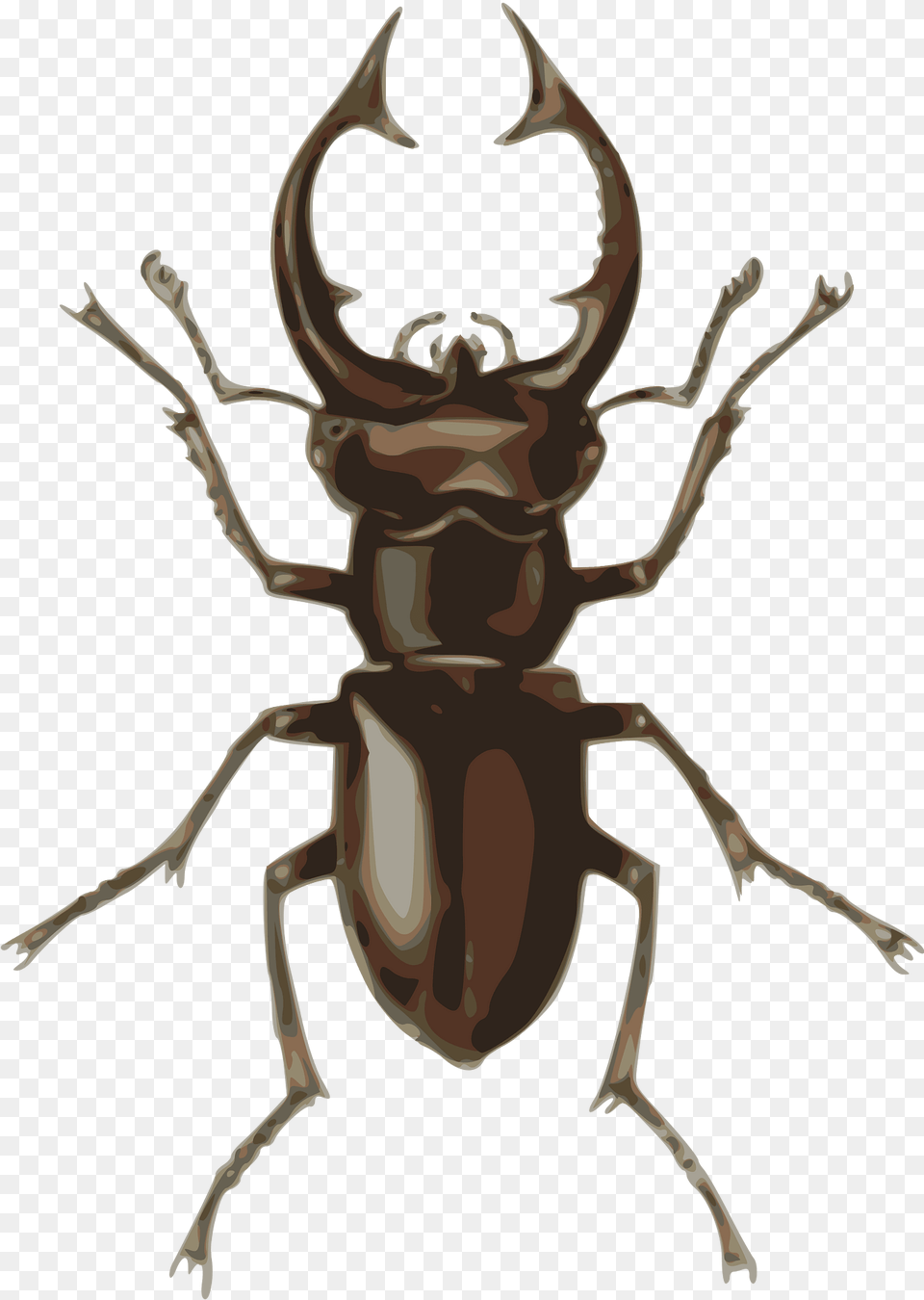 Dorbeetle Clipart, Animal, Fish, Sea Life, Shark Free Transparent Png