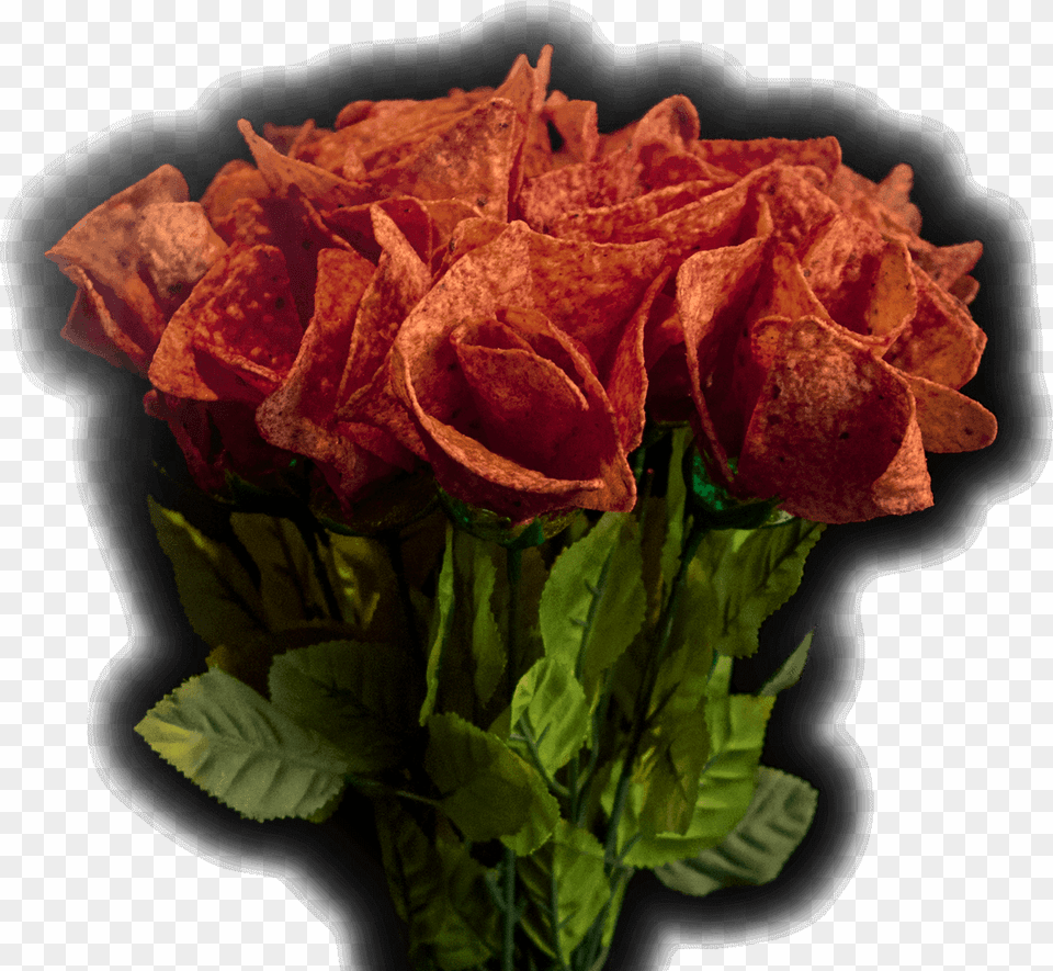 Doritos Chip Download Doritos Roses, Flower, Flower Arrangement, Flower Bouquet, Plant Png Image