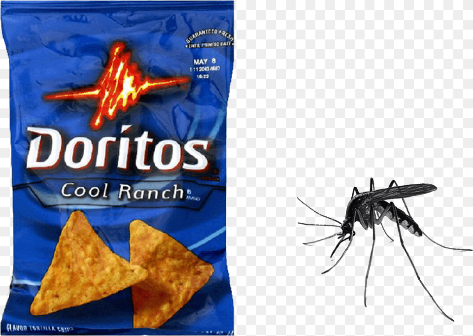 Doritos Cool Ranch Bag Download White People Think Is Spicy, Animal, Insect, Invertebrate, Food Free Png