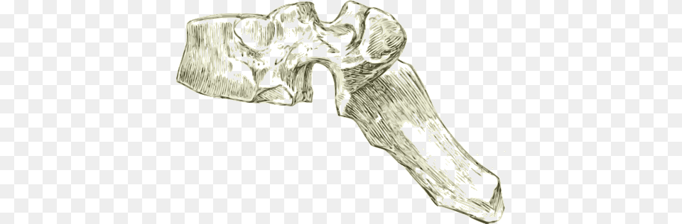 Dorsal Spine, Ct Scan, Art Free Png