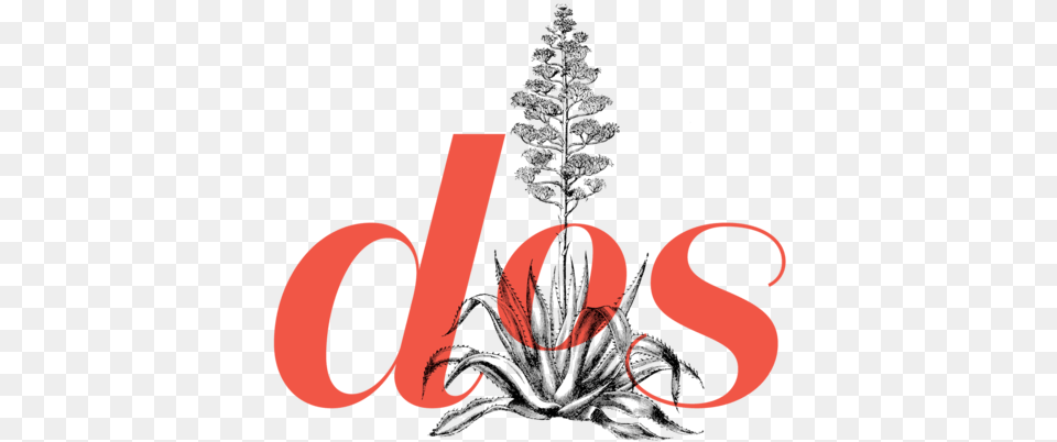 Dos Logo Secondary1 Illustration, Plant, Tree, Adult, Female Free Png Download