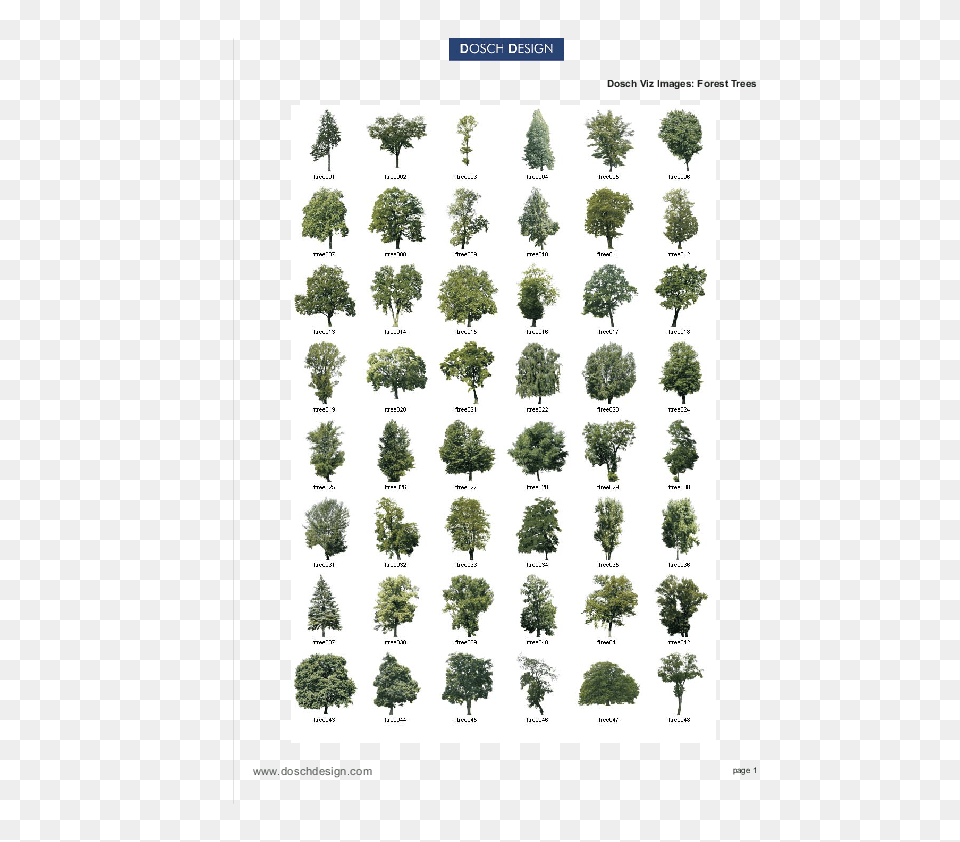 Dosch Design Dosch 2d Vizimages Forest Trees Paint Trees In Paint Tool Sai, Plant, Potted Plant, Tree, Vegetation Png