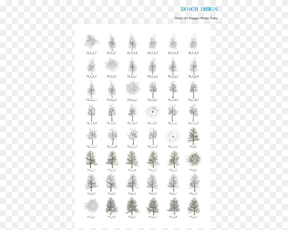 Dosch Design Dosch 2d Vizimages Winter Trees Number, Plant, Tree, Vegetation, Text Png Image