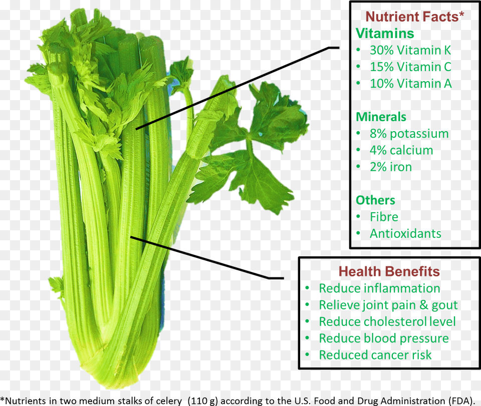 Dosinghealth U2013 Dosing Health Celery, Herbs, Plant, Parsley Png