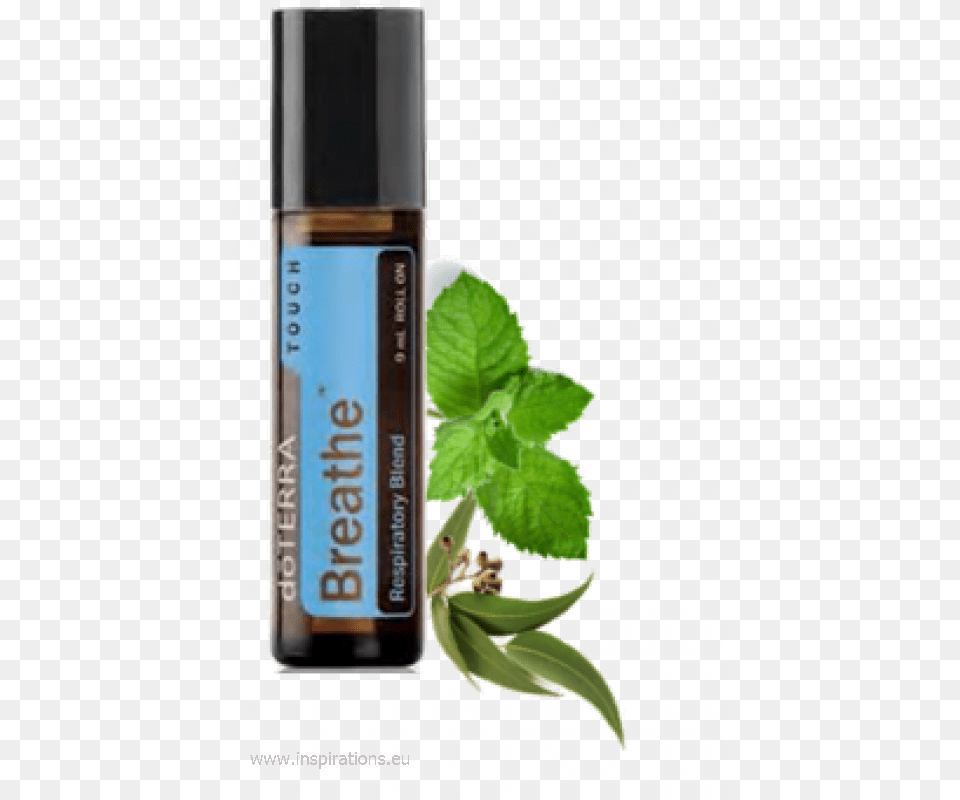 Doterra Breathe Touch Roller Bottle Pre Diluted Breathe Doterra, Herbal, Herbs, Mint, Plant Png Image