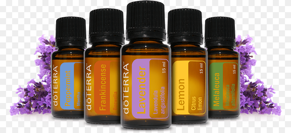 Doterra Essential Oils Essential Oil Doterra, Herbal, Herbs, Plant, Flower Free Png Download