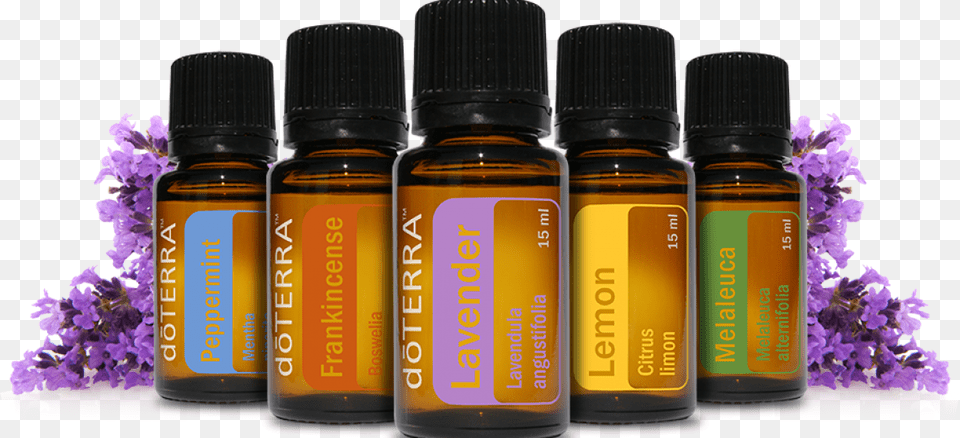 Doterra Oils, Flower, Herbal, Herbs, Plant Free Png Download