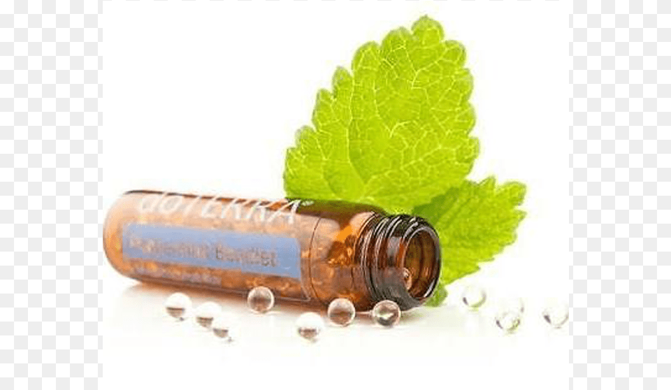 Doterra Peppermint Essential Oil Doterra Peppermint Beadlets, Herbal, Herbs, Plant, Leaf Free Transparent Png