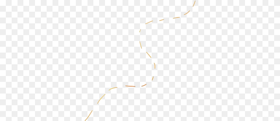 Dotted Line Snake, Animal, Reptile Free Transparent Png
