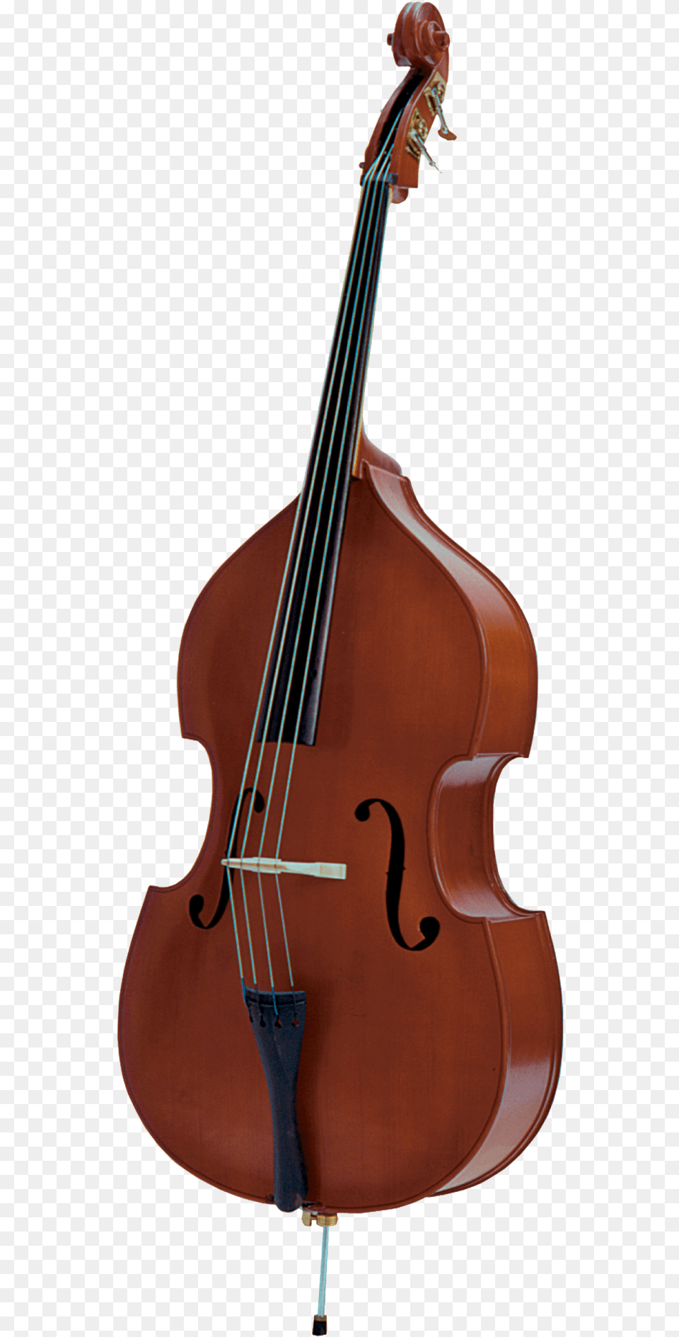 Double Bass Bass Guitar String Instruments Electric Palatino Vb, Cello, Musical Instrument, Violin Png Image