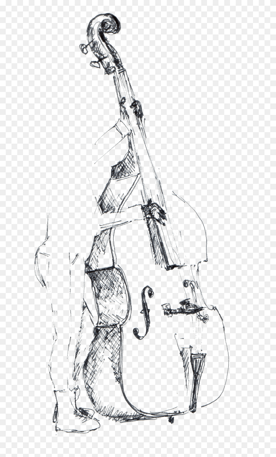 Double Bass Sketch, Art, Drawing, Adult, Bride Png Image