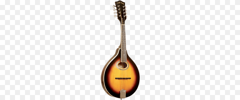 Double Bass Transparent, Guitar, Mandolin, Musical Instrument Png