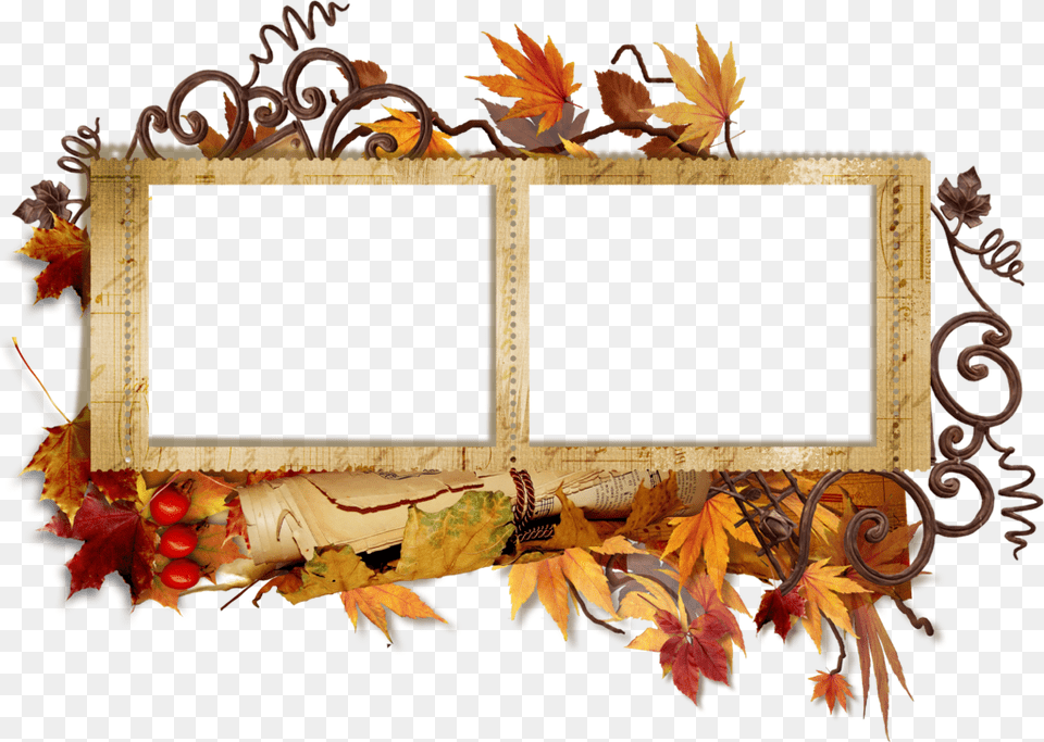 Double Borders And Frames, Leaf, Plant, Tree, Maple Png Image