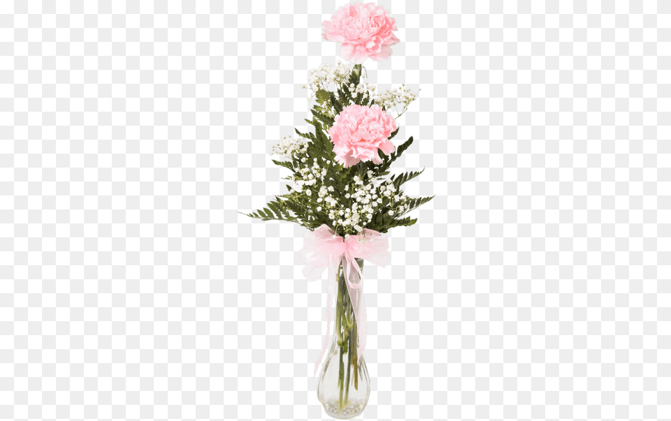Double Carnation Bud Vase Carnation In Bud Vase, Flower, Flower Arrangement, Flower Bouquet, Plant Png