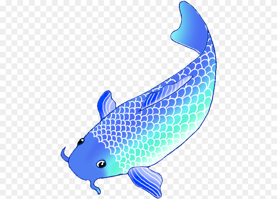 Double Drawing Koi Fish, Animal, Carp, Sea Life, Aquatic Free Transparent Png
