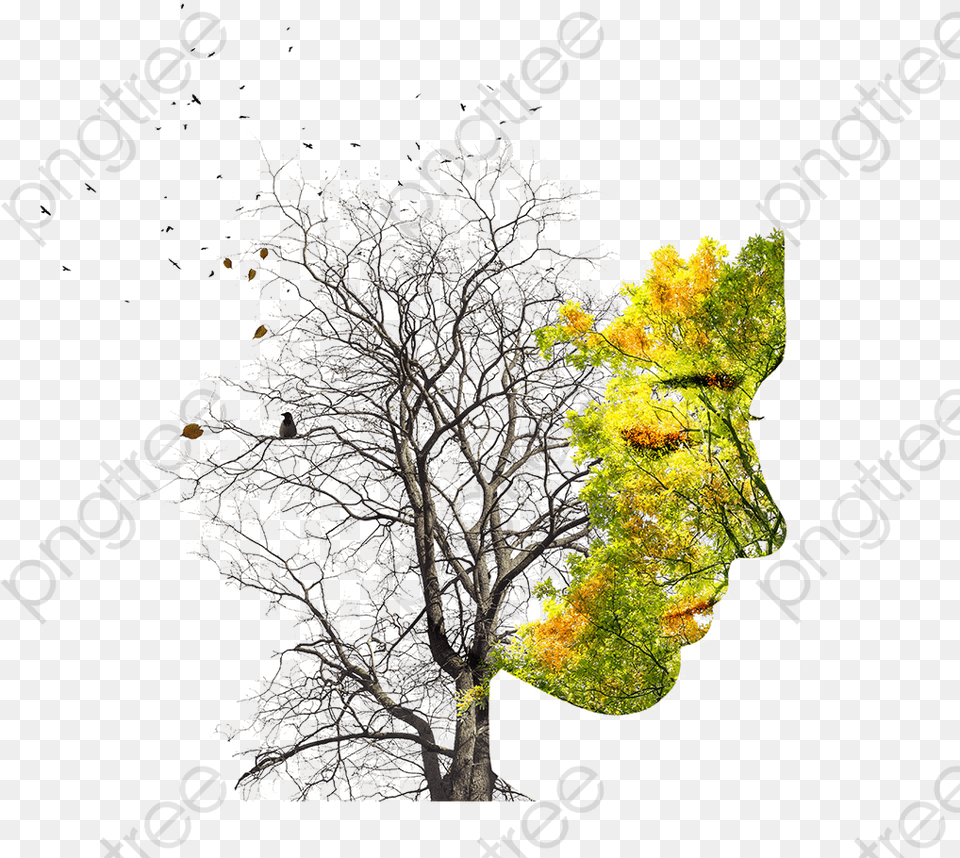Double Exposure Tree, Art, Collage, Plant, Vegetation Free Png Download
