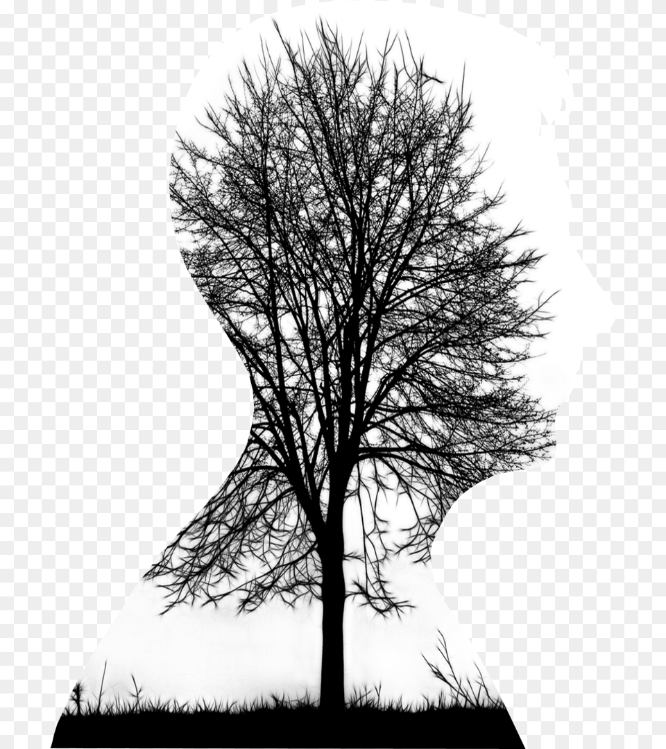 Double Exposure Tree, Plant, Silhouette, Tree Trunk, Person Free Png