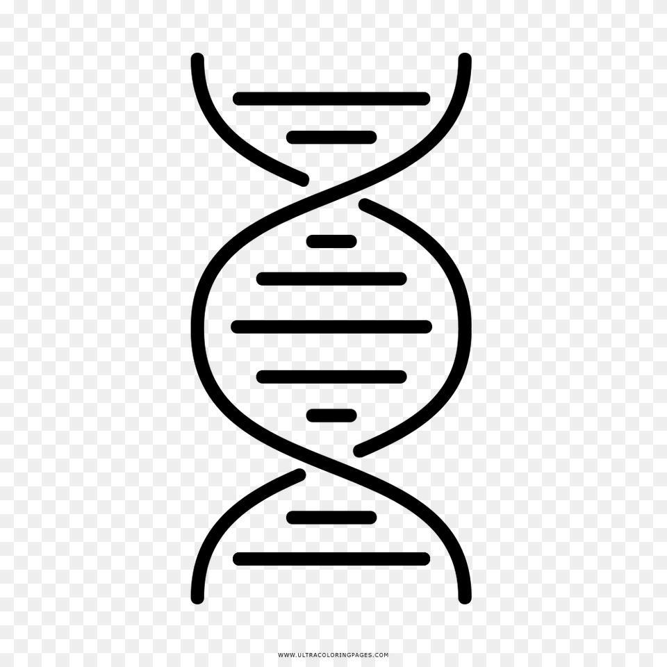 Double Helix Coloring, Gray Png Image