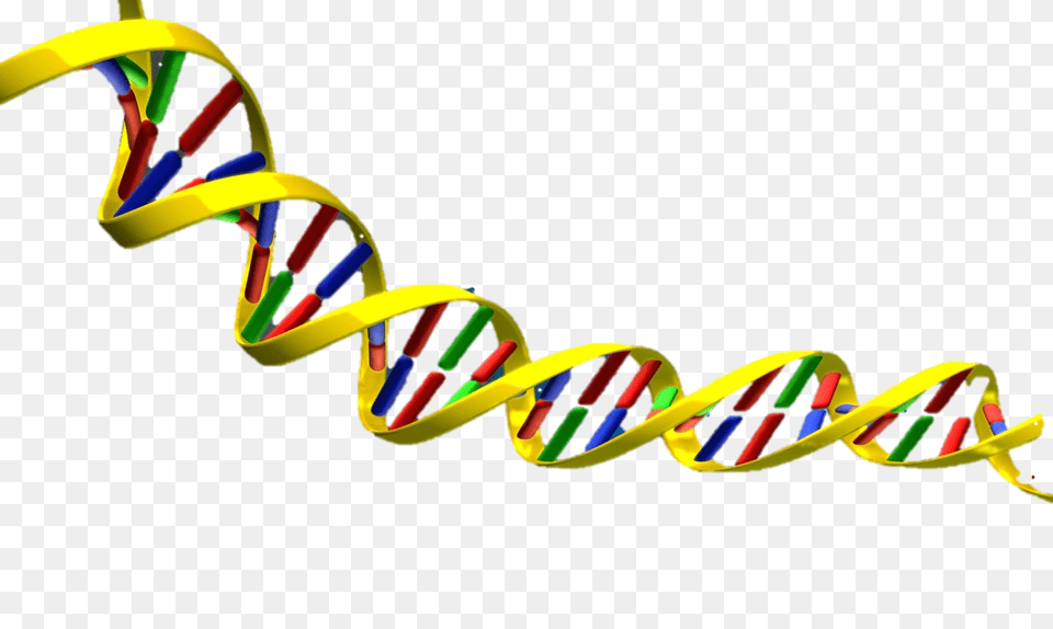 Double Helix Dna, Spiral, Coil Free Png
