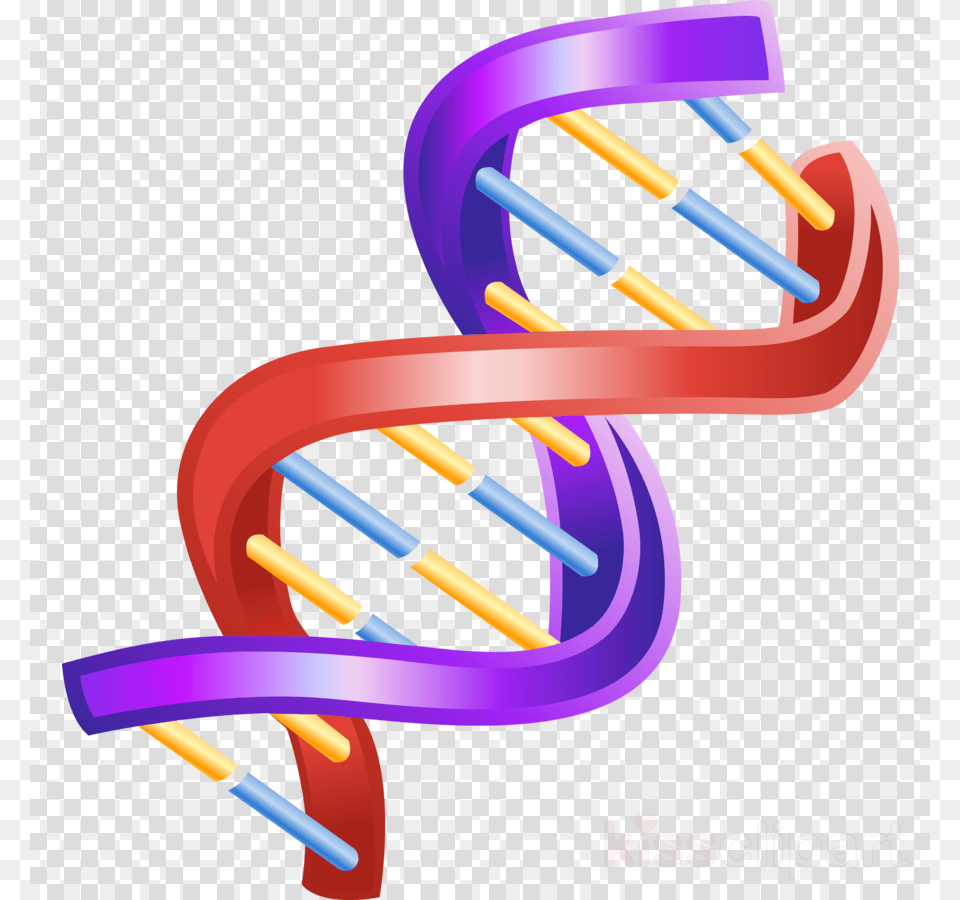 Double Helix Dna Clipart The Double Helix Double Helix Dna Structure, Spiral, Coil, Dynamite, Weapon Free Transparent Png