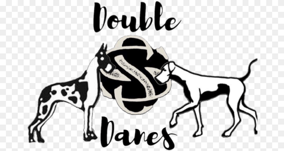 Double S Danes Ancient Dog Breeds, Animal, Canine, Mammal, Text Png Image