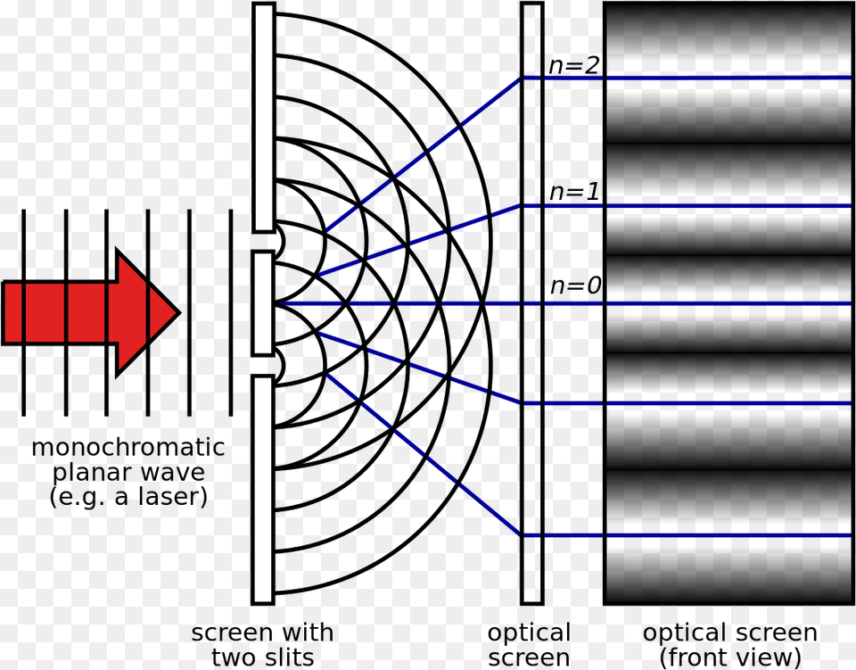 Double Slit Experiment Wave Young Double Slits Experiment, Light Png