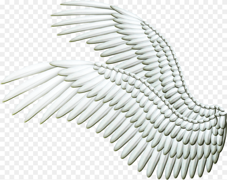 Double Spread Wings White By Thy Darkest Hour, Animal, Bird, Electronics, Hardware Png